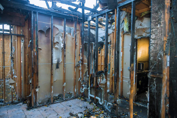 Professional Soot Cleanup technician working in Black Diamond, WA